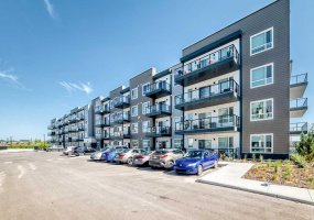 33 Carringham Gate, Calgary, Alberta T3P 2H6, 1 Bedroom Bedrooms, 0 ,1 BathroomBathrooms,Residential,For Sale,Carringham,0,A2328116