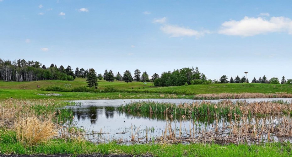 39325 Range Road 34, Rural Lacombe County, Alberta T0M0X0, 0 , 0 ,0,Commercial,For Sale,Range Road 34,0,A2319442