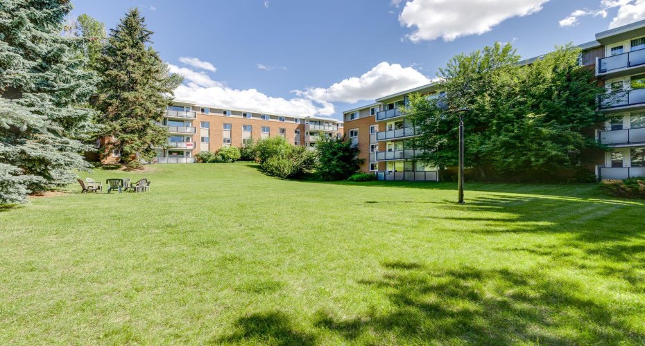 Beautiful common area courtyard