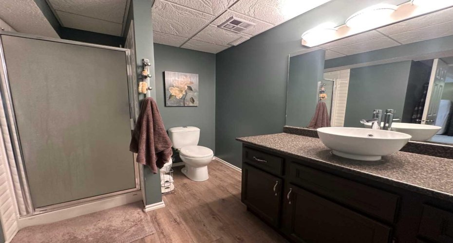 Ensuite in basement Bedroom