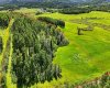 SW 20-22-4-W5M, Priddis, Alberta T0L 0K0, 0 , 0 ,0,Land,For Sale,20-22-4-W5M,0,A2323316