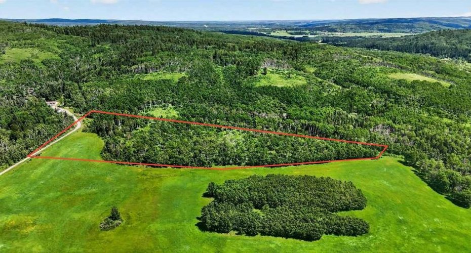 SW 20-22-4-W5M, Priddis, Alberta T0L 0K0, 0 , 0 ,0,Land,For Sale,20-22-4-W5M,0,A2323316