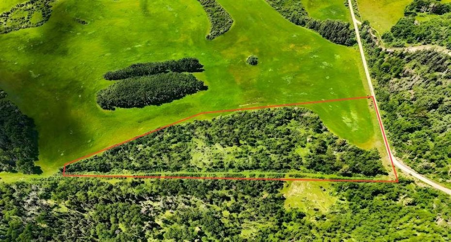 SW 20-22-4-W5M, Priddis, Alberta T0L 0K0, 0 , 0 ,0,Land,For Sale,20-22-4-W5M,0,A2323316