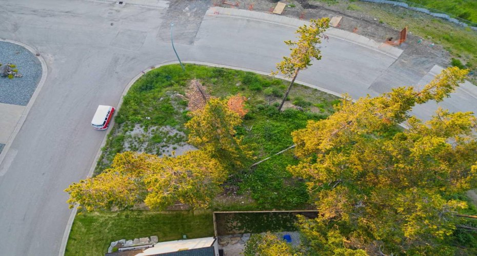 205 Southmore Place, Blairmore, Alberta T0K0E0, 0 , 0 ,0,Land,For Sale,Southmore,0,A2328253