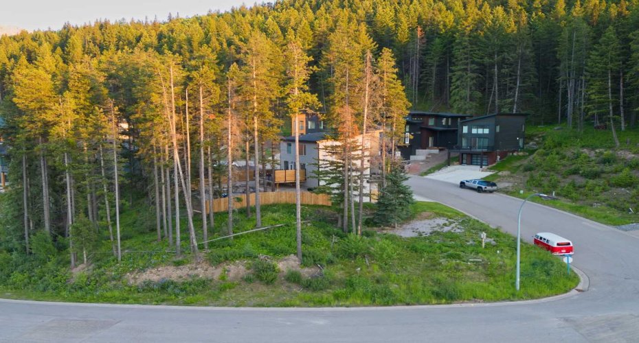 205 Southmore Place, Blairmore, Alberta T0K0E0, 0 , 0 ,0,Land,For Sale,Southmore,0,A2328253