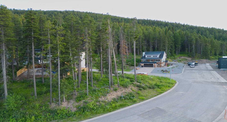 205 Southmore Place, Blairmore, Alberta T0K0E0, 0 , 0 ,0,Land,For Sale,Southmore,0,A2328253