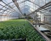263058 Township Road 252, Rural Wheatland County, Alberta T0J 1Y0, 0 , 0 ,0,Agri-business,For Sale,Township Road 252,0,A2328302