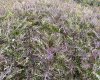 263058 Township Road 252, Rural Wheatland County, Alberta T0J 1Y0, 0 , 0 ,0,Agri-business,For Sale,Township Road 252,0,A2328302