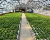 263058 Township Road 252, Rural Wheatland County, Alberta T0J 1Y0, 0 , 0 ,0,Agri-business,For Sale,Township Road 252,0,A2328302