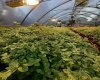 263058 Township Road 252, Rural Wheatland County, Alberta T0J 1Y0, 0 , 0 ,0,Agri-business,For Sale,Township Road 252,0,A2328302