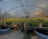 263058 Township Road 252, Rural Wheatland County, Alberta T0J 1Y0, 0 , 0 ,0,Agri-business,For Sale,Township Road 252,0,A2328302