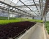 263058 Township Road 252, Rural Wheatland County, Alberta T0J 1Y0, 0 , 0 ,0,Agri-business,For Sale,Township Road 252,0,A2328302