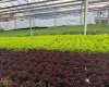 263058 Township Road 252, Rural Wheatland County, Alberta T0J 1Y0, 0 , 0 ,0,Agri-business,For Sale,Township Road 252,0,A2328302