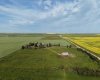263076 Twp Rd 154, Rural Willow Creek No. 26, M.D. of, Alberta T0L 1R0, 4 Bedroom Bedrooms, 0 ,2 BathroomBathrooms,Residential,For Sale,Twp Rd 154,0,A2328327