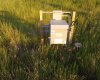 Range Road 44, Rural Cypress County, Alberta T0J1V0, 0 , 0 ,0,Agri-business,For Sale,Range Road 44,0,A2326667