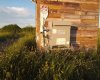 Range Road 44, Rural Cypress County, Alberta T0J1V0, 0 , 0 ,0,Agri-business,For Sale,Range Road 44,0,A2326667