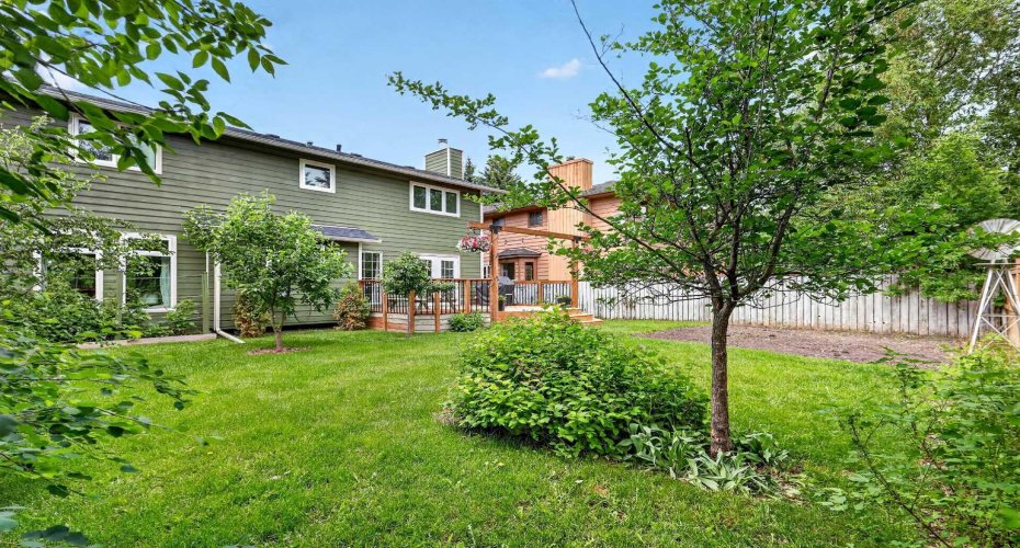 Large Back Yard