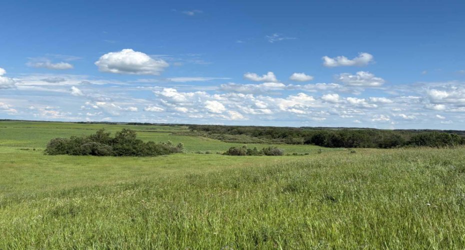 Rural, Rural, Saskatchewan S0M 1K0, 0 , 0 ,0,Land,For Sale,Rural,0,A2327012