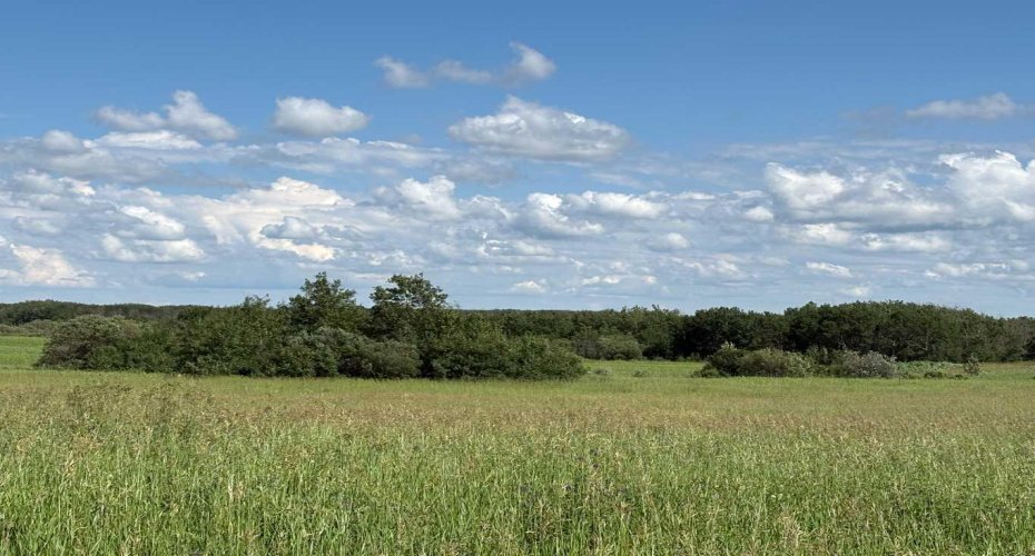 Rural, Rural, Saskatchewan S0M 1K0, 0 , 0 ,0,Land,For Sale,Rural,0,A2327012