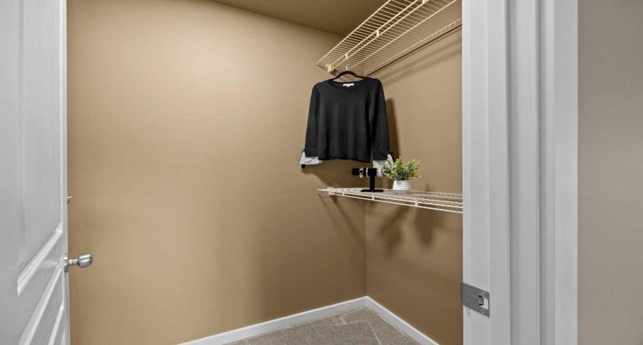 A walk-in closet provides generous hanging and shelf space to keep everything organized.