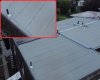 Newer Roof