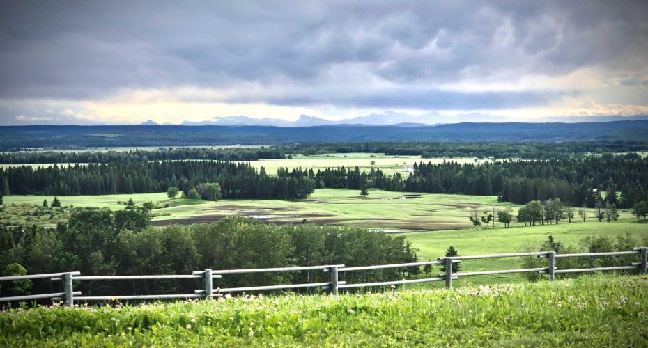 6029 Township Road 332, Rural Mountain View County, Alberta T0M 1X0, 2 Bedroom Bedrooms, 0 ,2 BathroomBathrooms,Residential,For Sale,Township Road 332,0,A2327557 6029 Township Road 332, Rural Mountain View County, Alberta T0M 1X0, 2 Bedroom Bedrooms, 0 ,2 BathroomBathrooms,Residential,For Sale,Township Road 332,0,A2327557