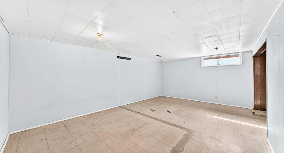 Flex Room in Basement