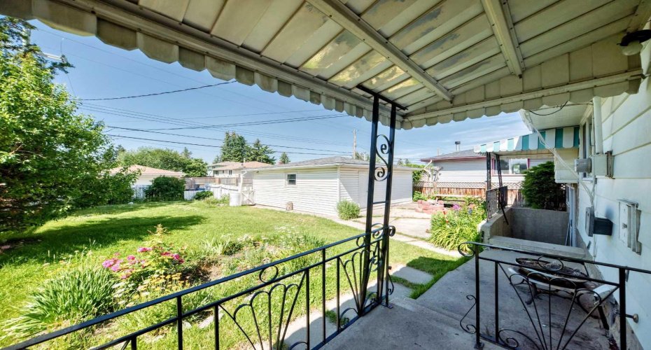 View of backyard