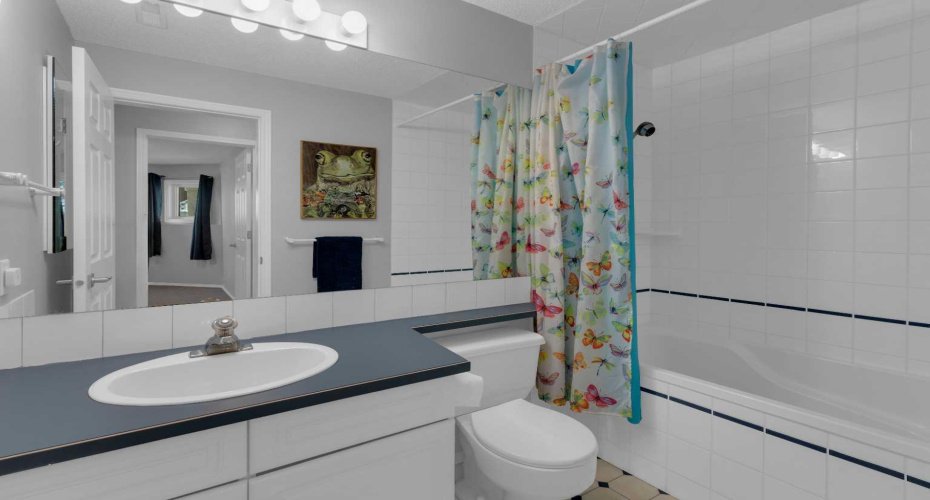 Lower bathroom