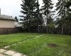 Rear yard.