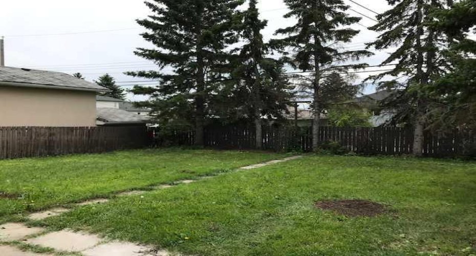 Rear yard.