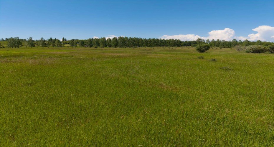 112055 2253 Drive, Rural Foothills County, Alberta T0L 0X0, 0 , 0 ,0,Land,For Sale,2253,0,A2327851