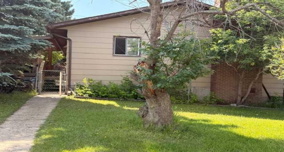 4803 47 Street, Hardisty, Alberta T0B1V0, 4 Bedroom Bedrooms, 0 ,3 BathroomBathrooms,Residential,For Sale,47,0,A2327910
