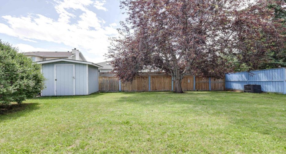 large fenced yard