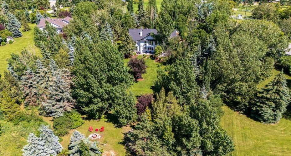80107 Highwood Meadows Drive, Rural Foothills County, Alberta T1S4Y9, 3 Bedroom Bedrooms, 0 ,3 BathroomBathrooms,Residential,For Sale,Highwood Meadows,0,A2328103
