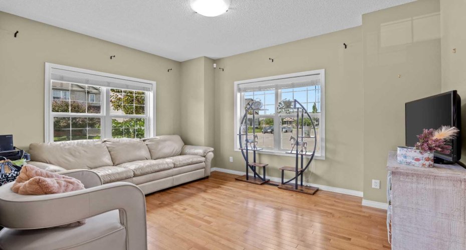 Large windows
