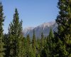 309 Riva Place, Canmore, Alberta T1W 3L4, 3 Bedroom Bedrooms, 0 ,3 BathroomBathrooms,Residential,For Sale,Riva,0,A2328130