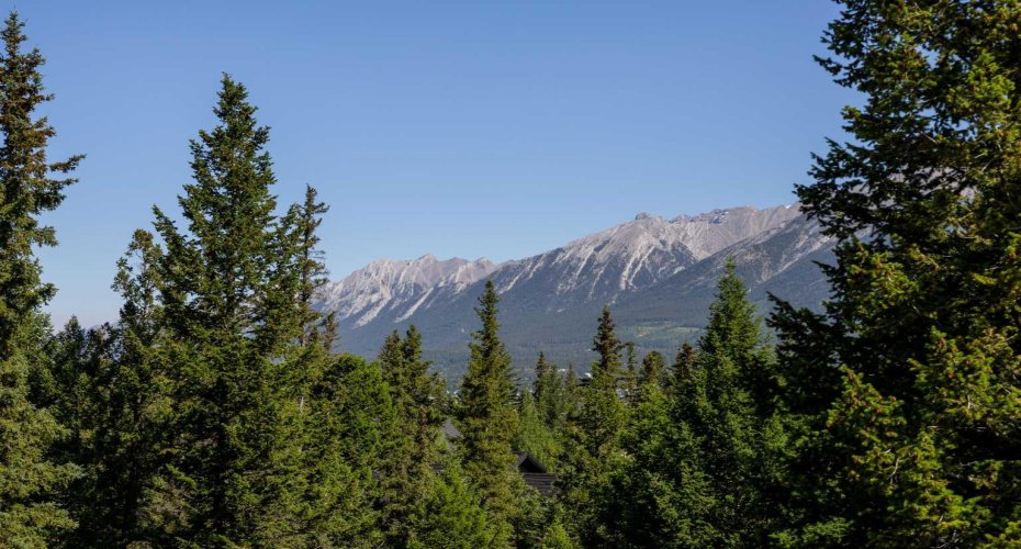 309 Riva Place, Canmore, Alberta T1W 3L4, 3 Bedroom Bedrooms, 0 ,3 BathroomBathrooms,Residential,For Sale,Riva,0,A2328130
