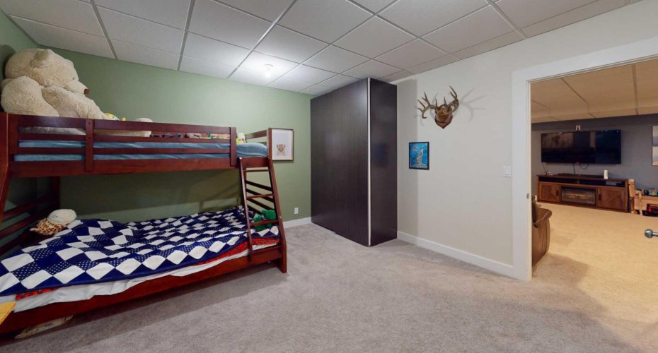 Lower level bedroom 3
