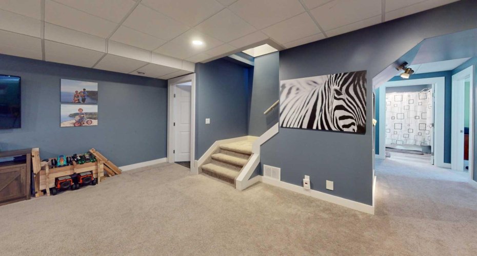 Lower level family room