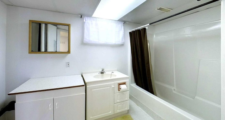 Basement Bathroom