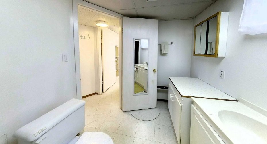 Basement Bathroom