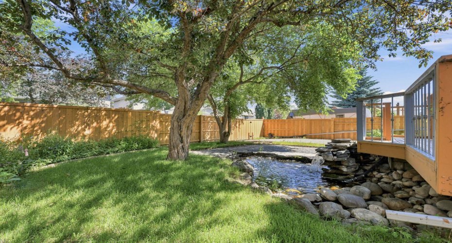 back yard