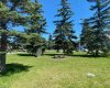 Green area out front with picnic table