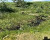 200 4 Avenue, Sundre, Alberta T0M 1X0, 0 , 0 ,0,Land,For Sale,4,0,A2327865