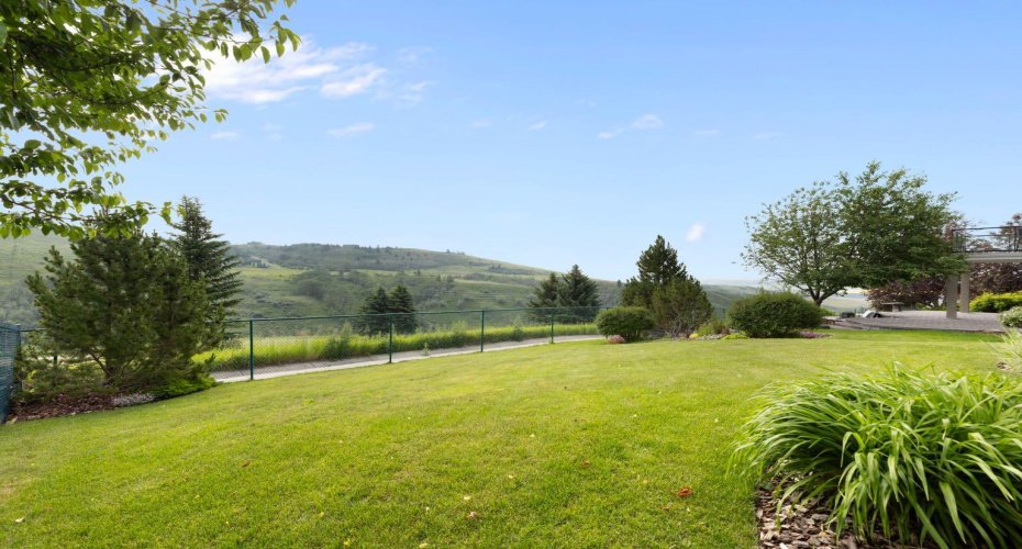 Landscaped Yard