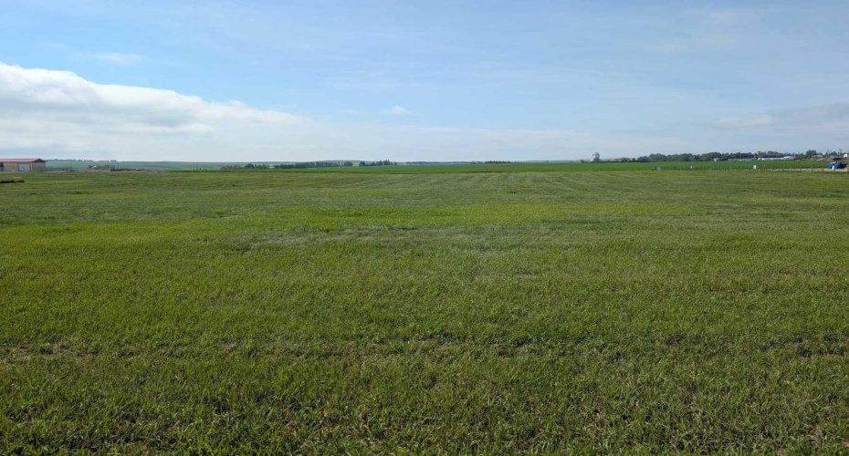 237 North Road, Trochu, Alberta T0M2C0, 0 , 0 ,0,Land,For Sale,North,0,A2327975