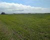 237 North Road, Trochu, Alberta T0M2C0, 0 , 0 ,0,Land,For Sale,North,0,A2327975