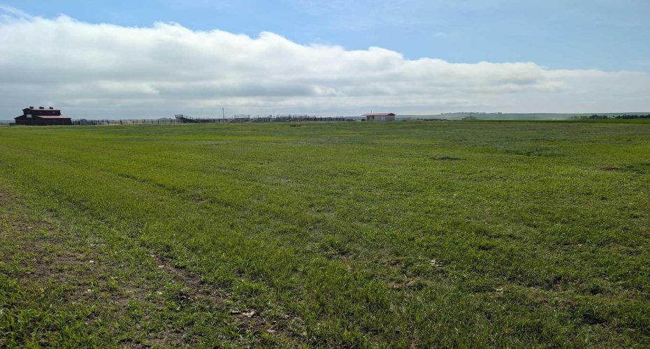 237 North Road, Trochu, Alberta T0M2C0, 0 , 0 ,0,Land,For Sale,North,0,A2327975