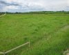 Range Road 261, Rural Lacombe County, Alberta T0M 0J0, 0 , 0 ,0,Land,For Sale,Range Road 261,0,A2328175